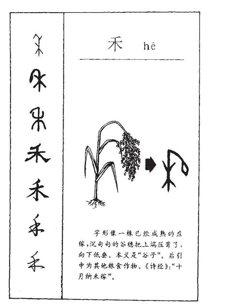 禾名字意思|用禾字取名的寓意，有哪些带禾字的好名字